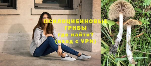 дурь Верхний Тагил