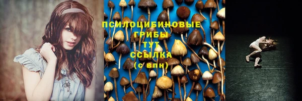 бутират Верея